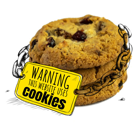 Warnung vor Nutzung von Cookies
