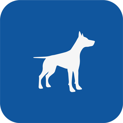 icon-amigo-web