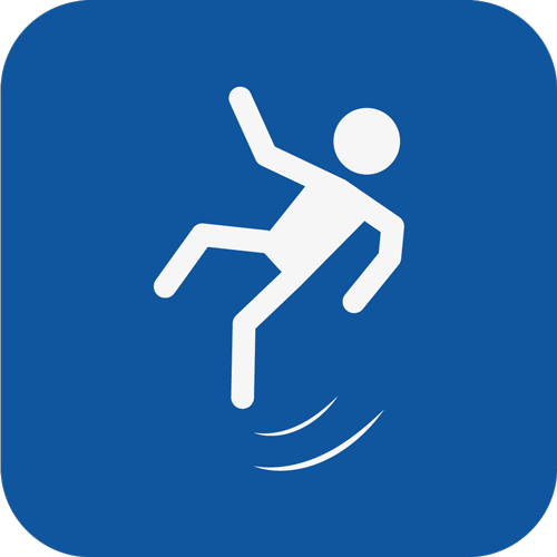 icon-bodyguard-web