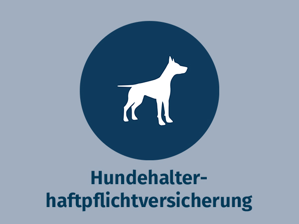 Blaues Icon auf grauem Hintergrund zu allsafe amigo Hundehalterhaftpflichtversicherung