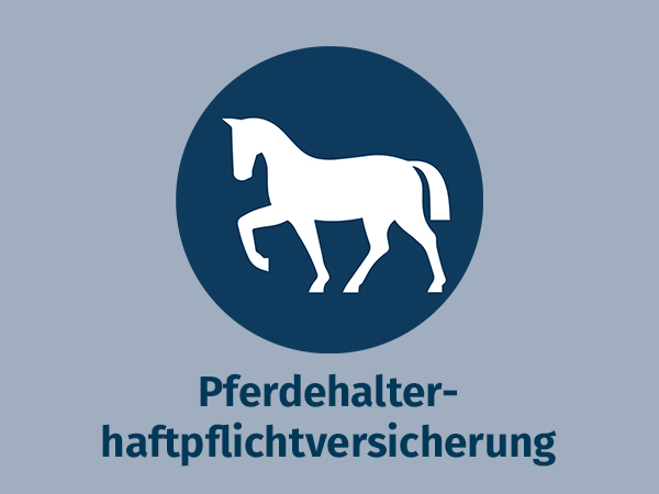 Blaues Icon auf grauem Hintergrund zu allsafe cavallo Pferdehalterhaftpflichtversicherung