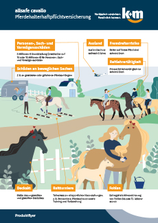 k+m allsafe cavallo - Produktflyer - Titelbild