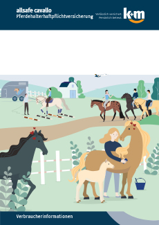 k+m allsafe cavallo - Verbraucherinformationen - Titelbild