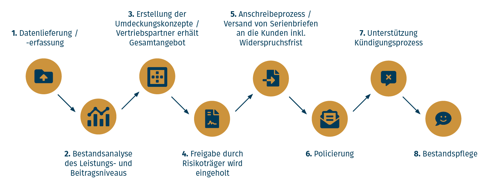 Ablaufgrafik Bestandsoptimierungsprozess mit Schritten von Datenerfassung über Bestandsanalyse, Angebotserstellung, Versand Serienbriefe, Kündigungsunterstützung, Policierung bis Bestandspflege
